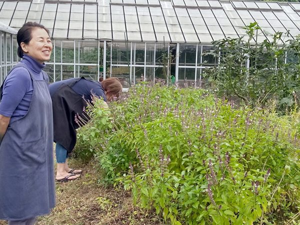 藍フィールドで藍の花を楽しむ女性